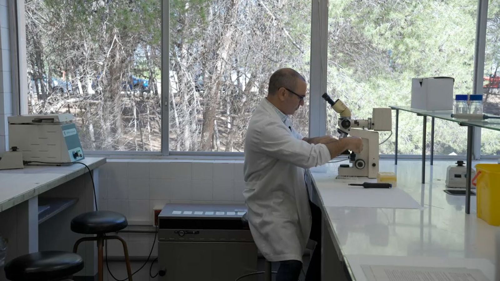 Una mutación que da claves sobre el Alzheimer