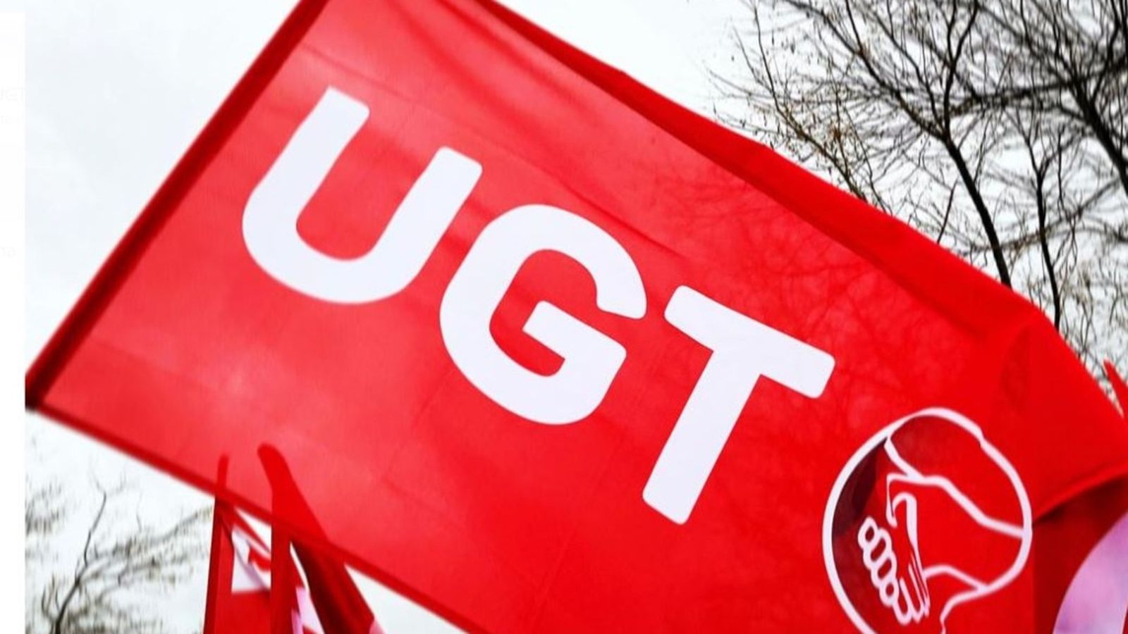 ugt generico