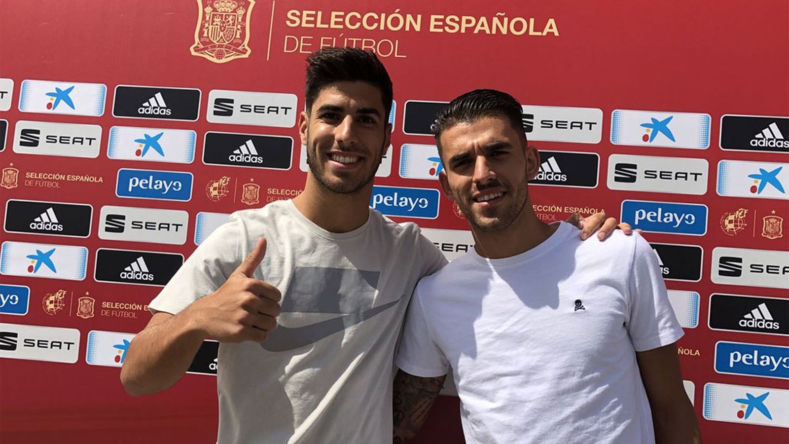 ceballos