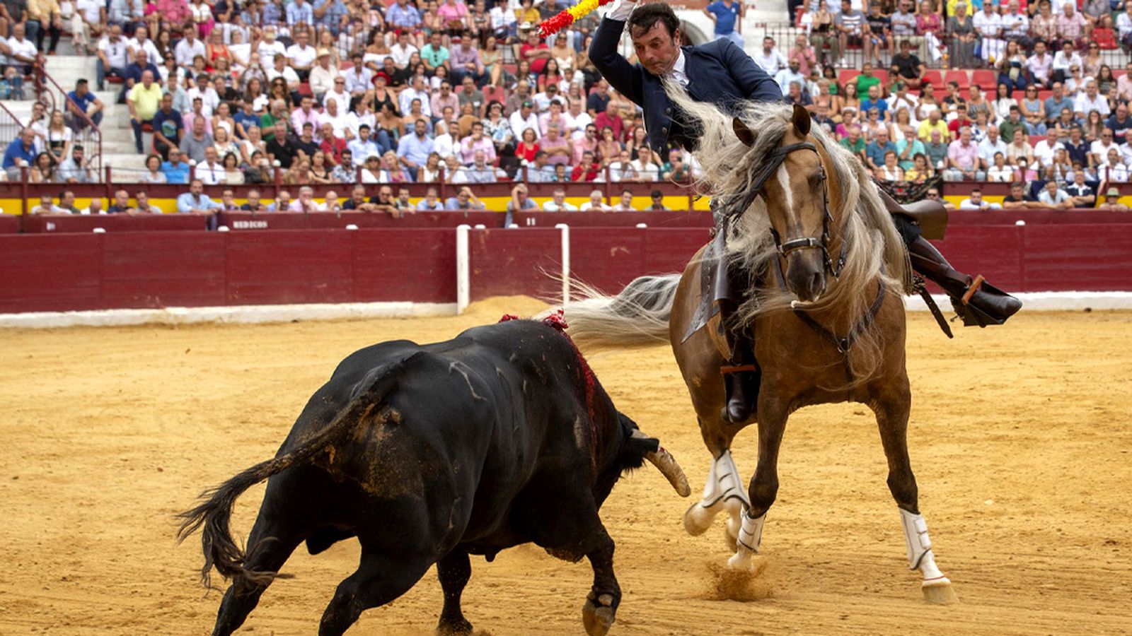 Toros Rejoneador Andy Cartagena 1024x576