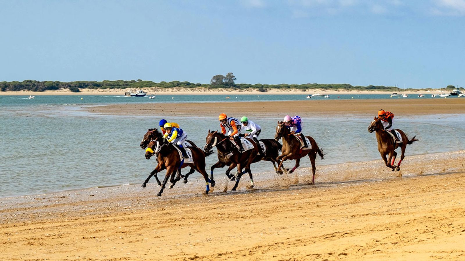Carreras caballos Sanlúcar 1024x576