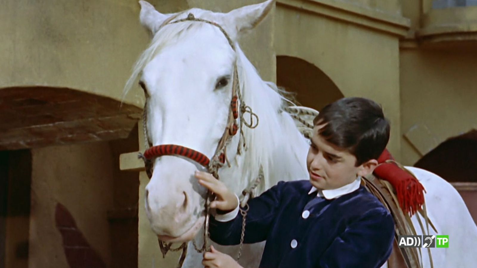 Cine: El caballo blanco