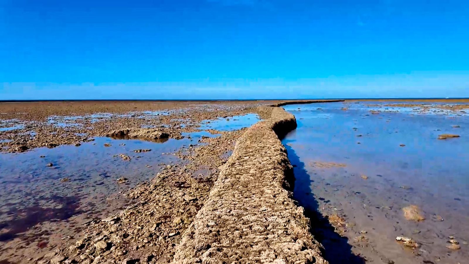 Los corraleros de Rota luchan por la supervivencia de un método de pesca milenario