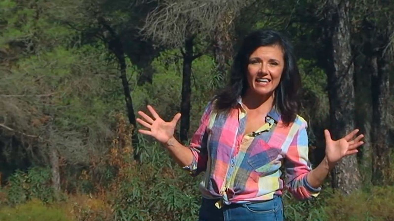 Tierra y mar PROMO 06/11