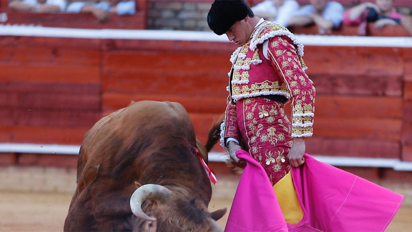 Comunicación Toros para Todos Luque