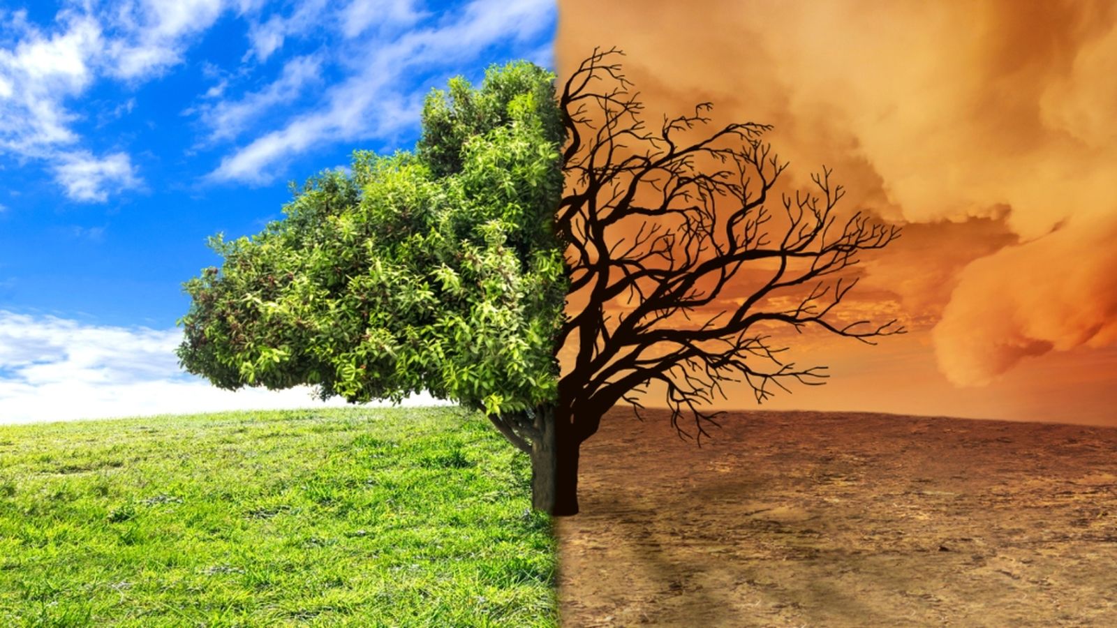 cambio climático