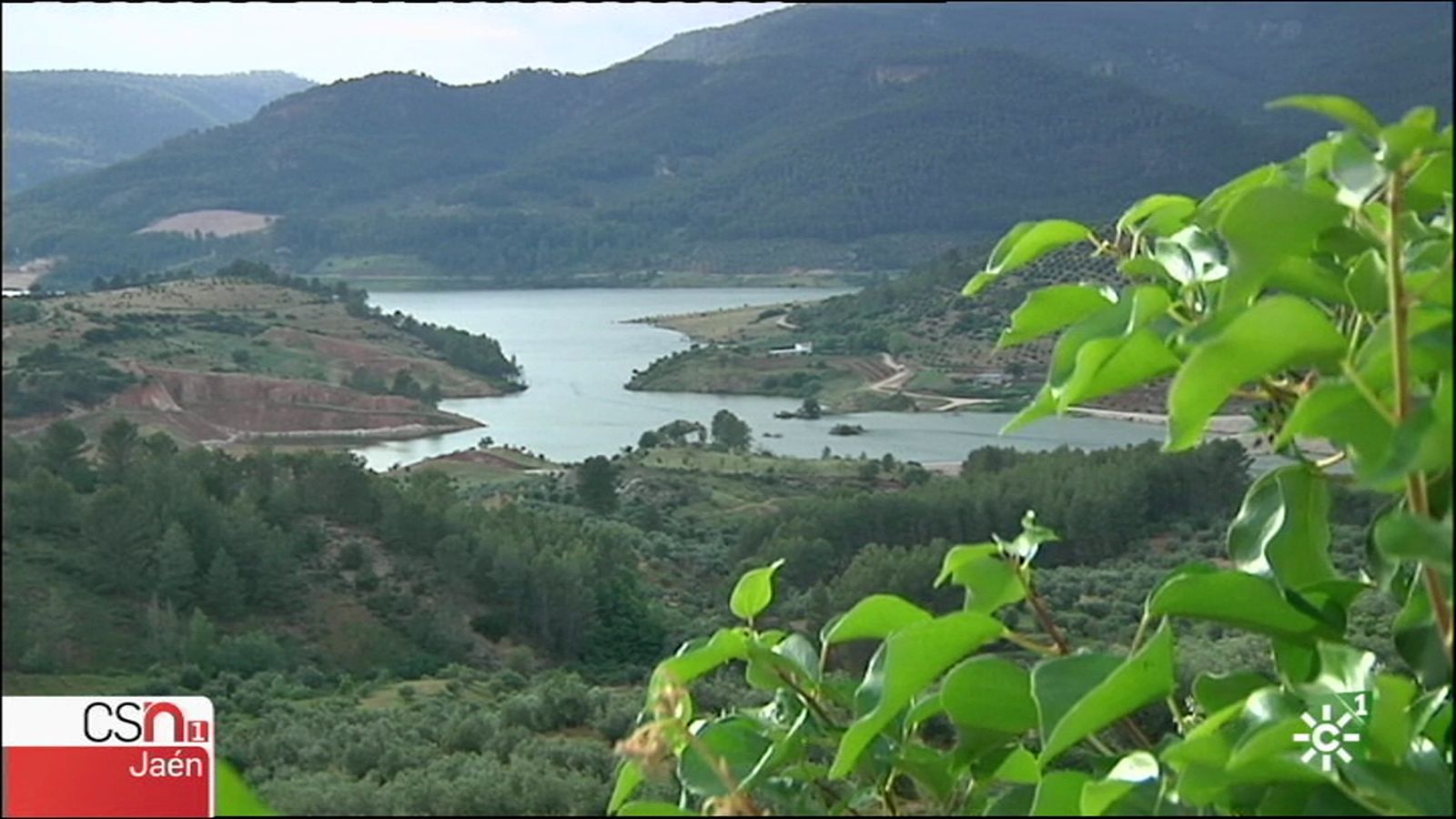 siles 1024