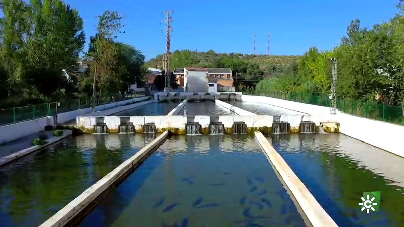 El caviar de Riofrío, un manjar al alcance de todos