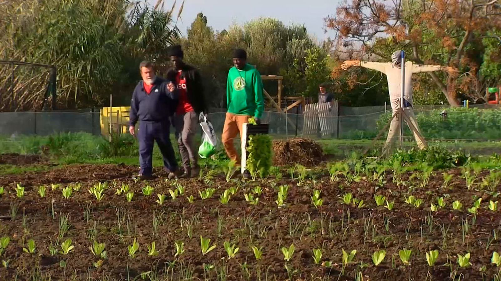 Agricultura y migración