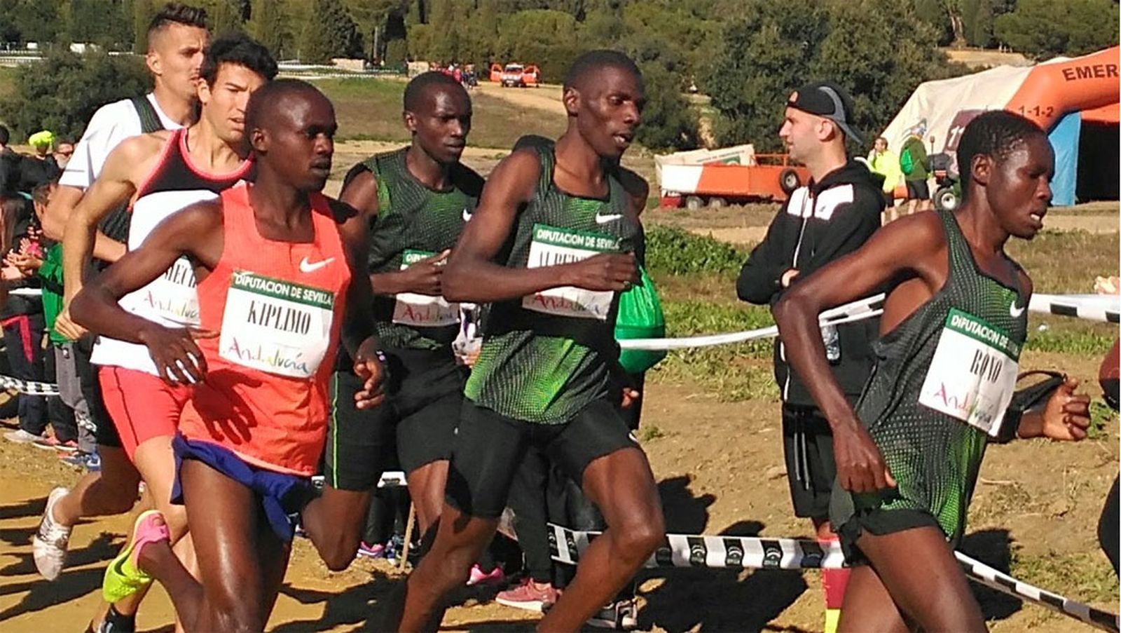 cross italica