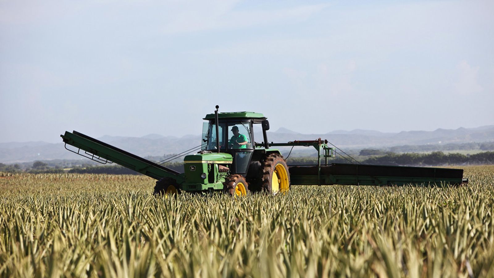 FOTO_CAMPO