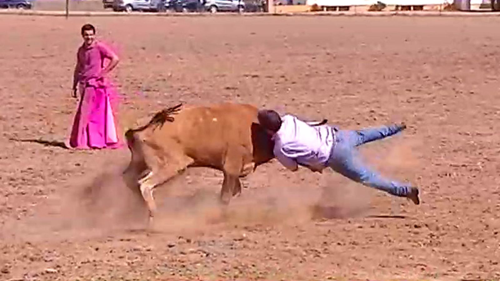 El entrenamiento de los forcados en su tauromaquia ancestral