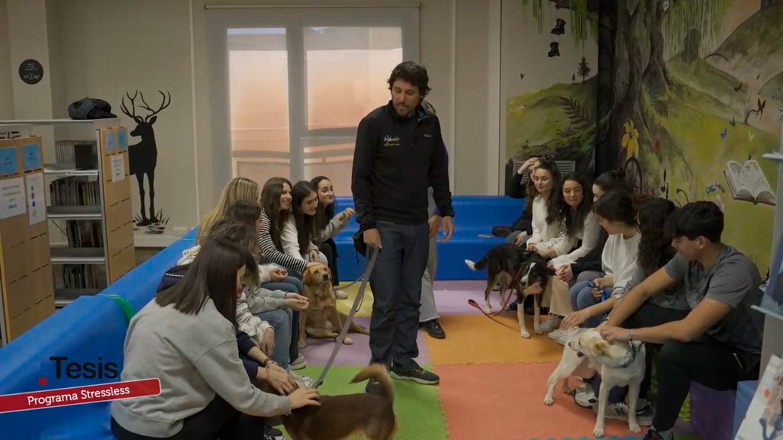 'Stressless' ayuda a reducir la ansiedad de los estudiantes mediante el contacto con perros