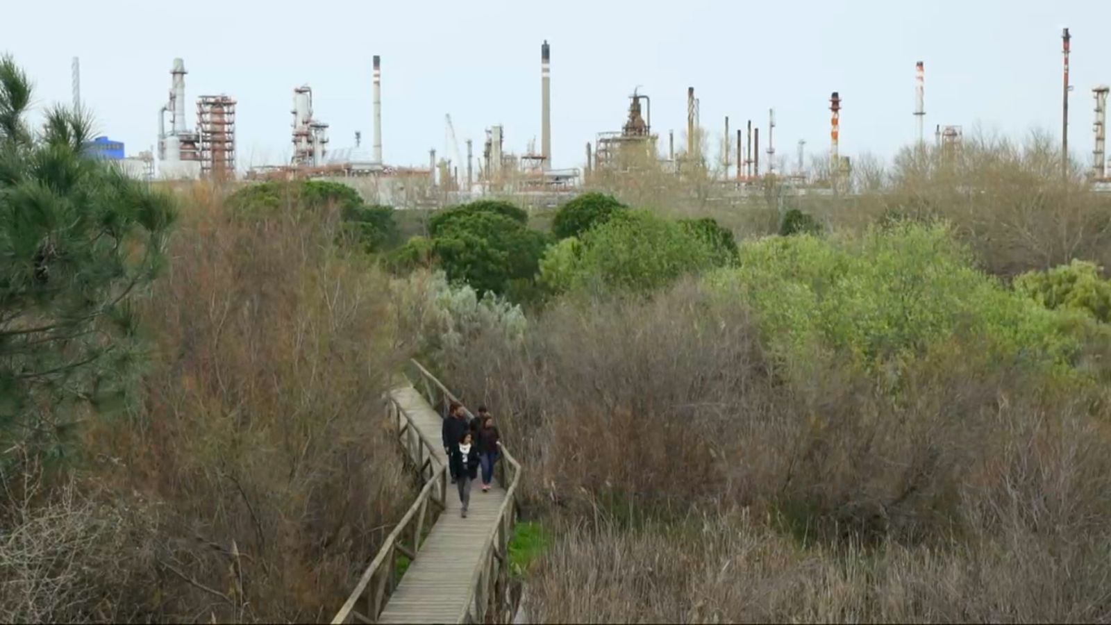 Sendero Lagunas de Palos, Huelva, ejemplo de recuperación ambiental