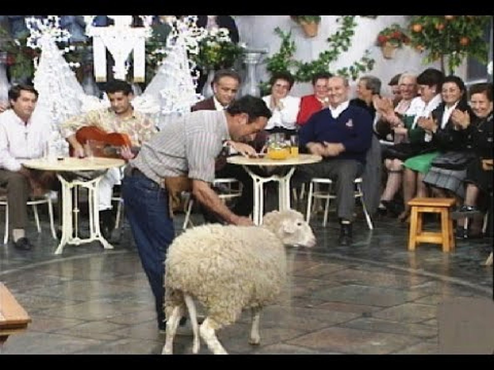 La oveja esquilada en directo y los pastores de Añora (1991)
