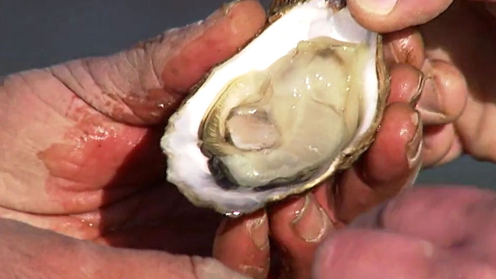 Tierra y mar 05/08/18 Destacado