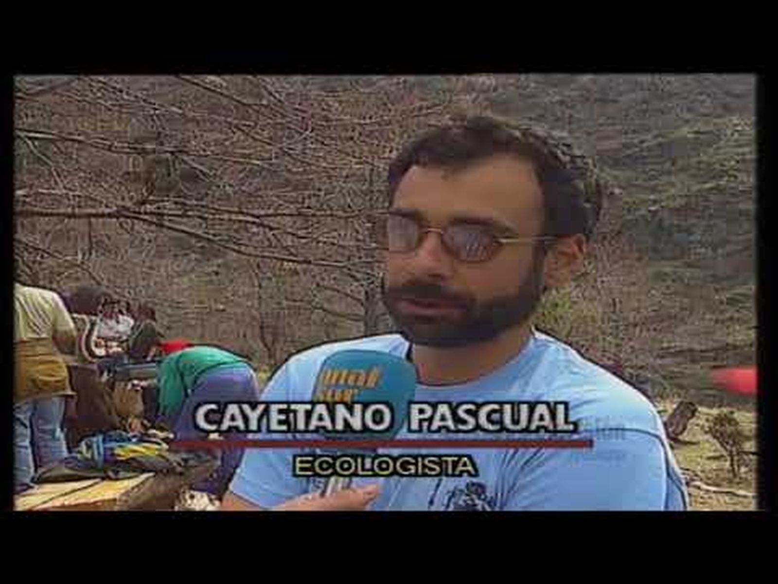 Castaño de Laujar en Almería, el árbol más antiguo de Andalucía