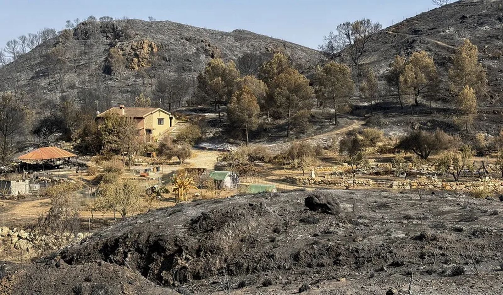 Incendio Los Gallardos (Almería)