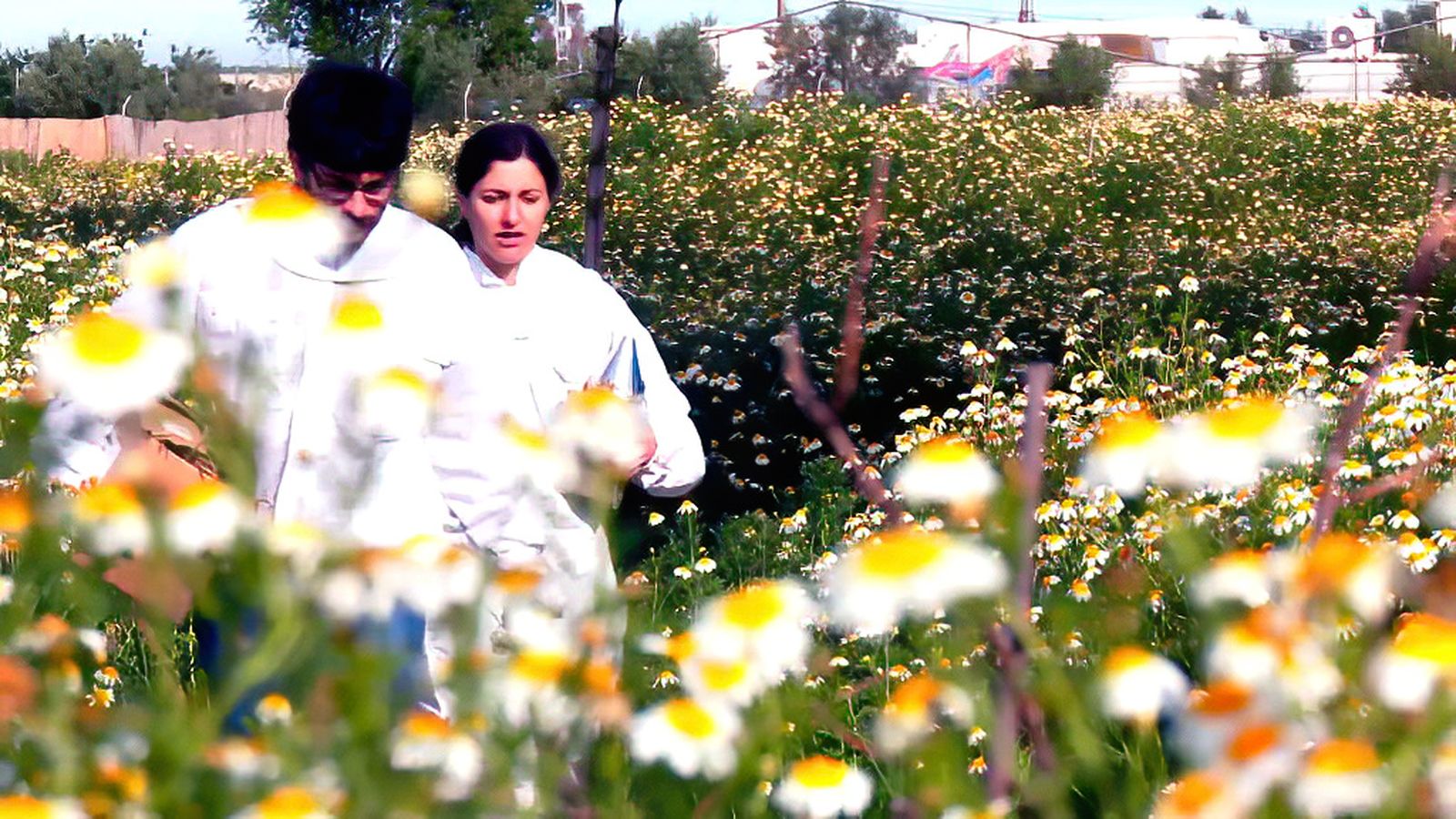 La vuelta a lo natural de una familia andaluza