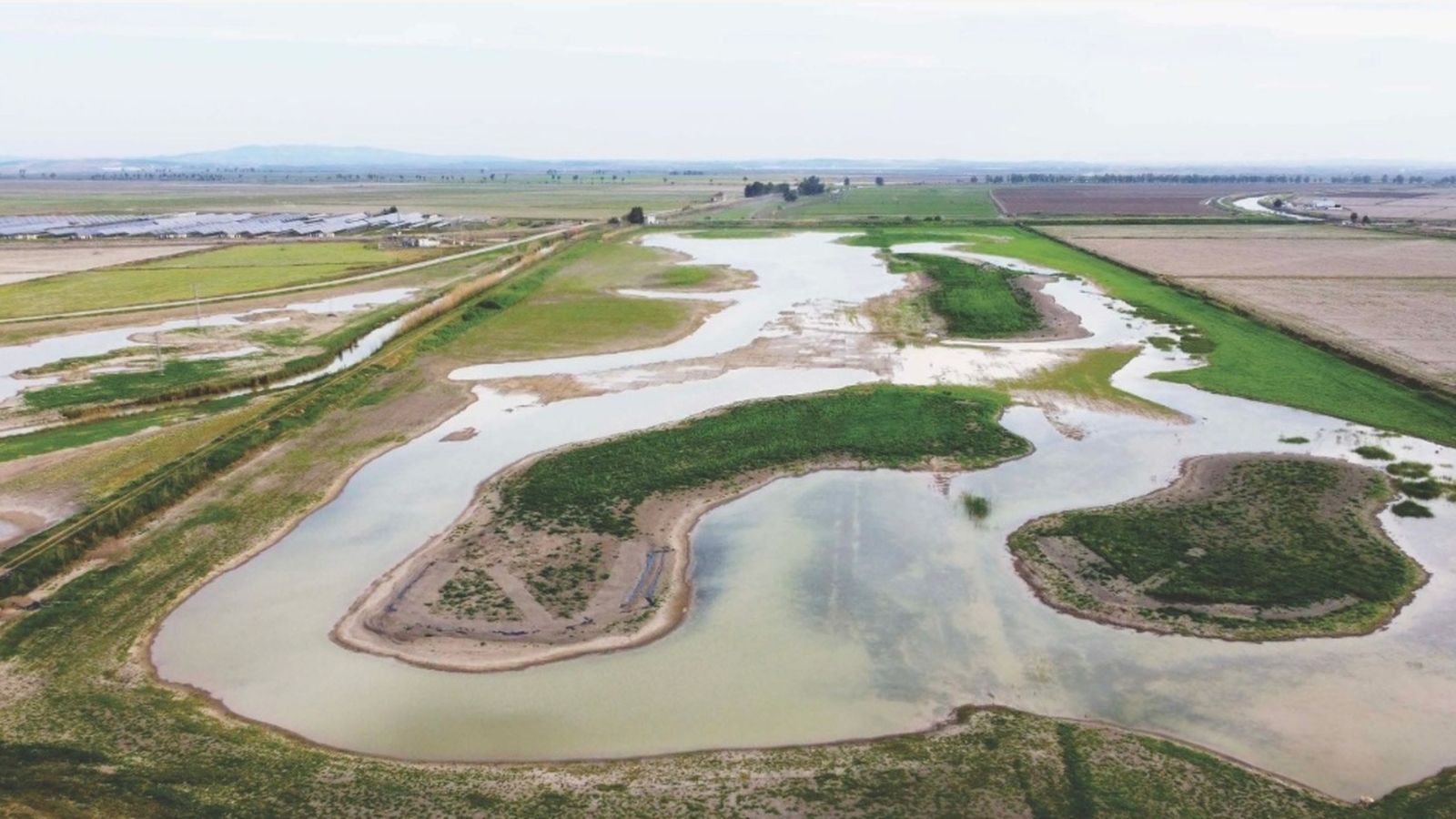 Cambio Climático Brazo del Este 2