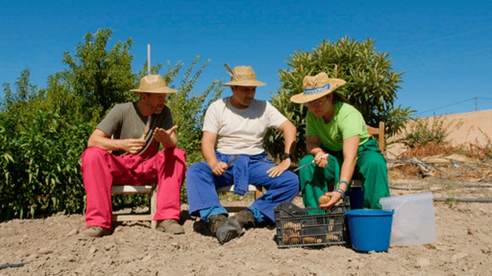 Entre compadres, 1