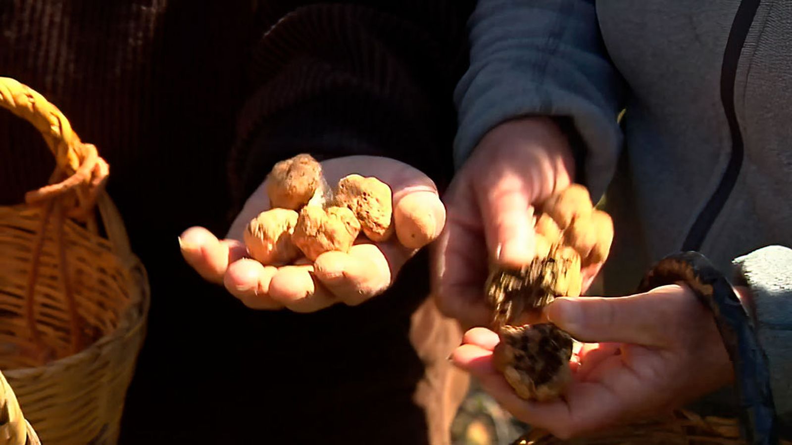 Tesoros bajo tierra en la comarca onubense del Andévalo