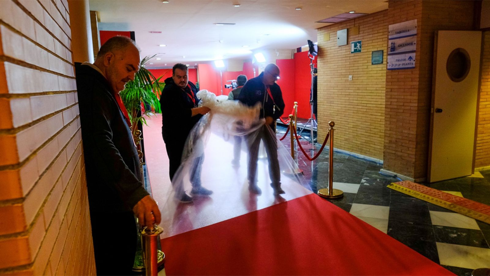 CARMEN ALFOMBRA VARIOS 4