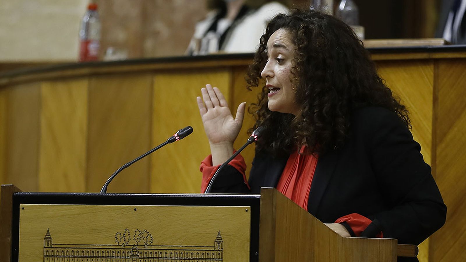 Inmaculada Nieto en el Parlamento