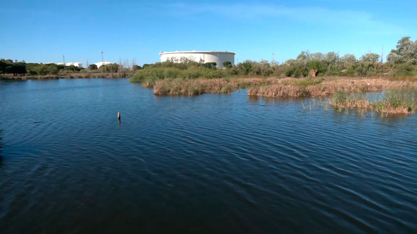 Lagunas de Palos, un oasis de diversidad junto al polo químico de Huelva