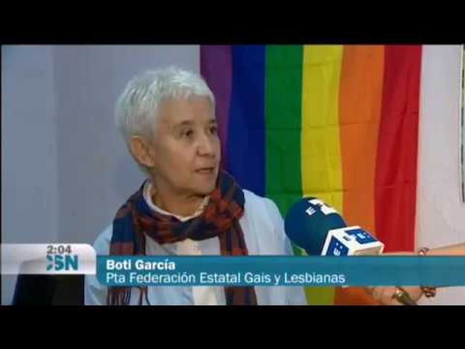 El Tribunal Constitucional ampara el matrimonio homosexual (2012)