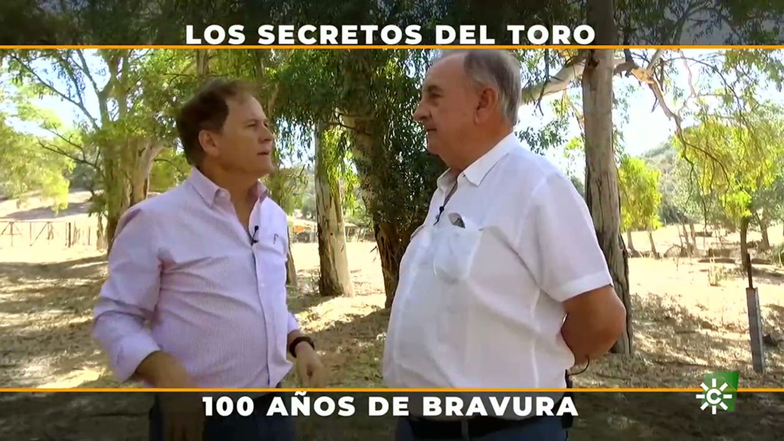 Para el ganadero Benítez Cubero el toro actual es más bravo y menos peligroso