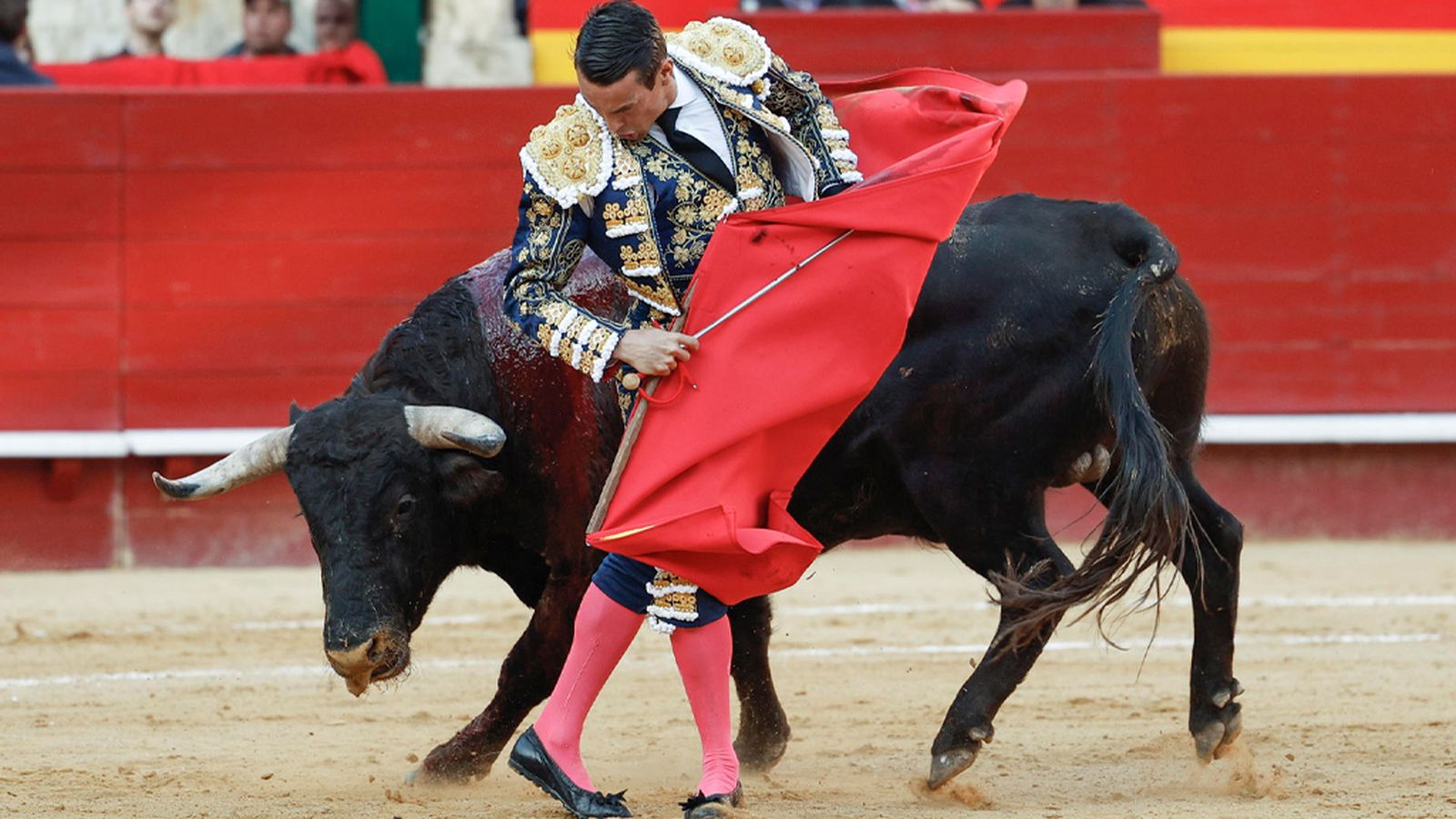 Triunfo absoluto de José María Manzanares en Valencia