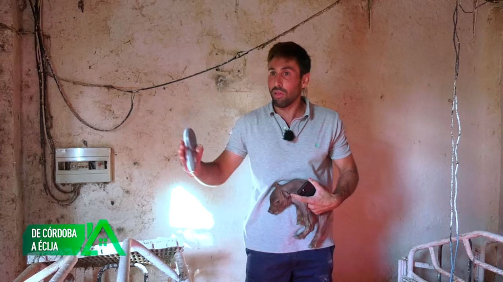 Regresó a Écija para ayudar a su padre en la explotación porcina que tiene la familia