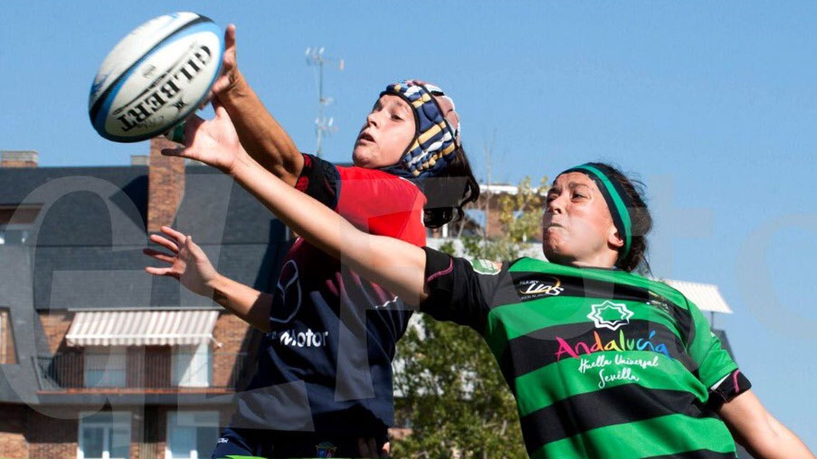 rugby
