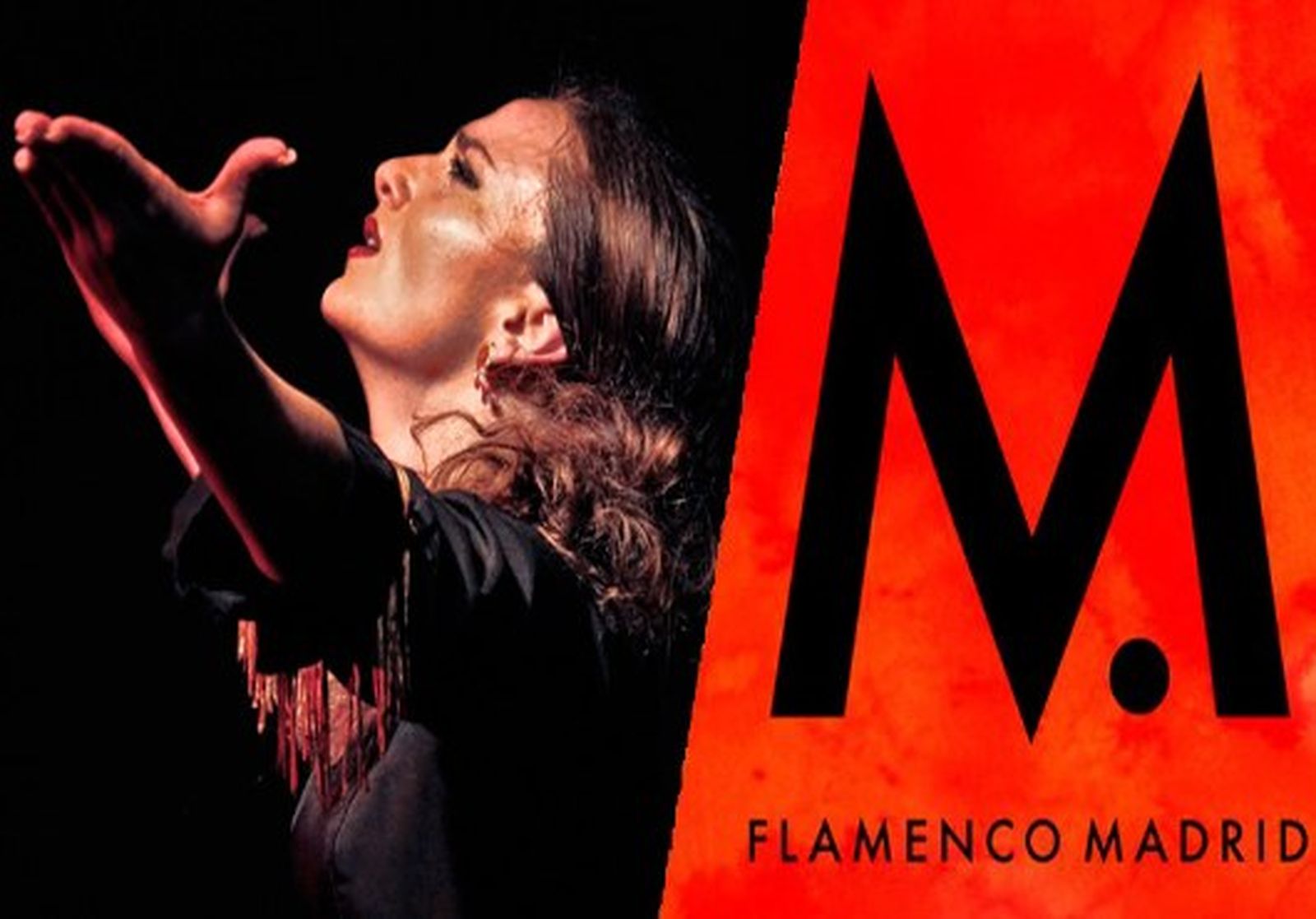 Flamenco Madrid 530