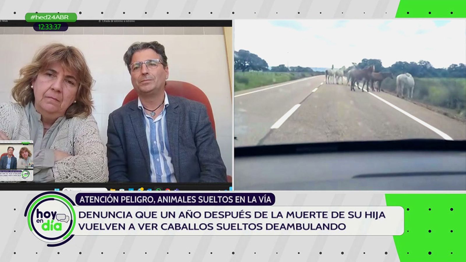 El accidente por caballos sueltos en la carretera que mató a Fuente Clara no sirve de lección