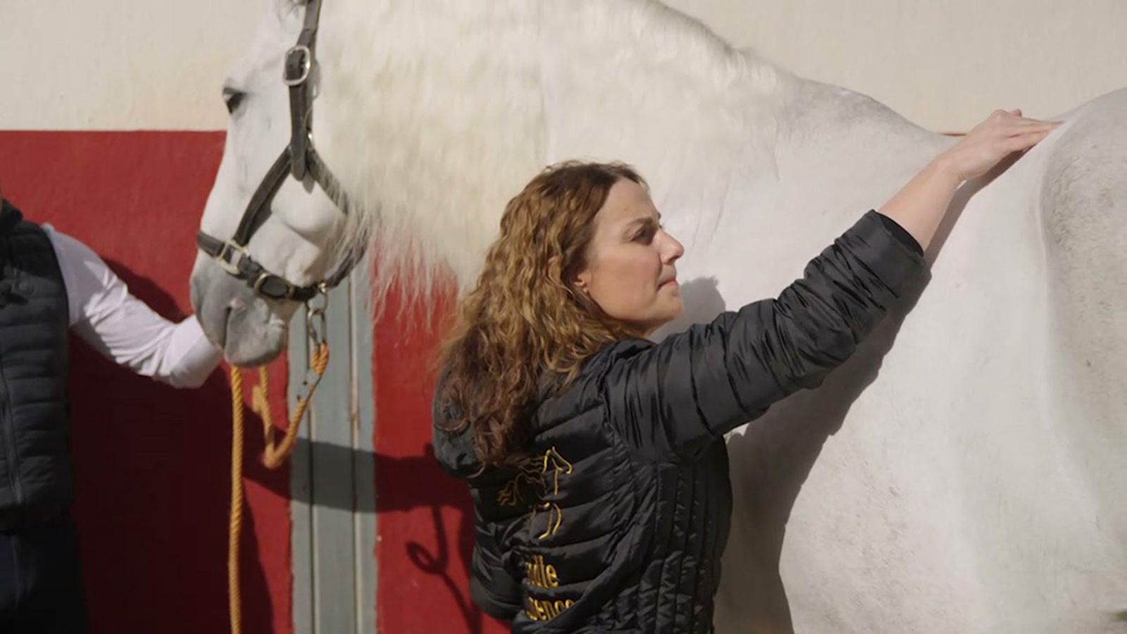 El ajustador de montura profesional beneficia al caballo y al jinete