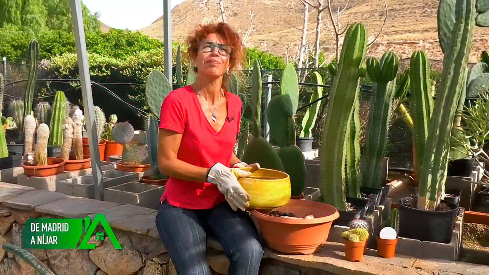 Trabaja en el vivero de cactus y está creando un taller de orfebrería en Níjar