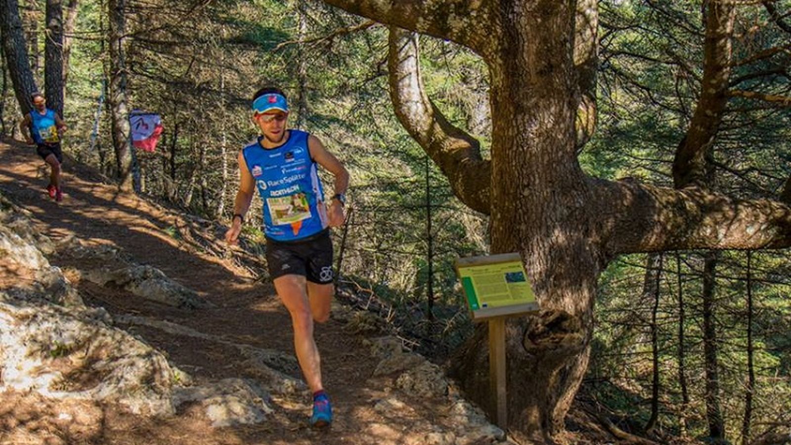 Pinsapo Trail