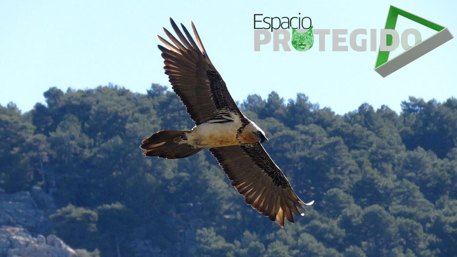 destacado espacio protegido