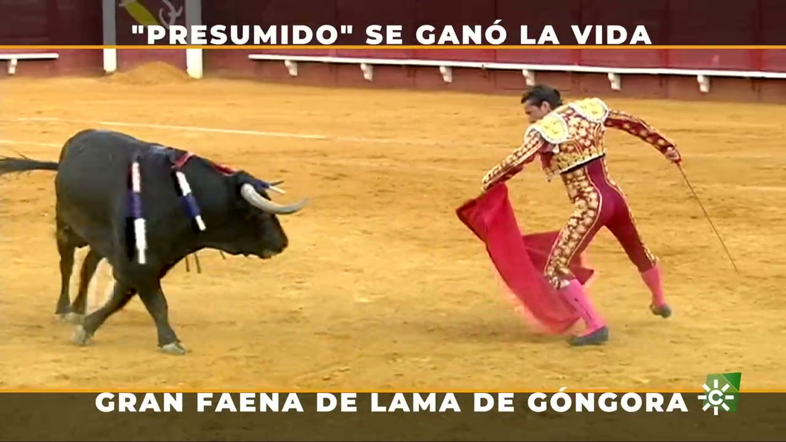 El toro Presumido, de Julio de la Puerta, salva la vida en una faena de Lama de Góngora