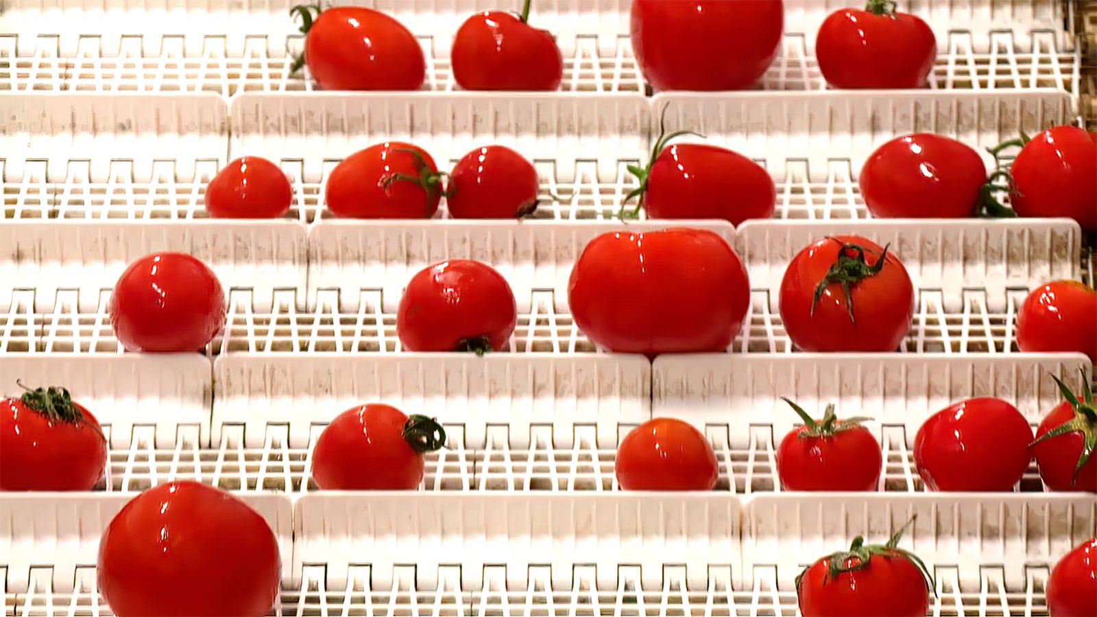 Gazpacho al natural