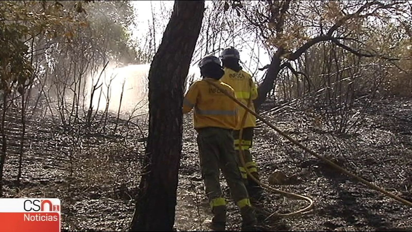 Incendio en Moguer (n1)