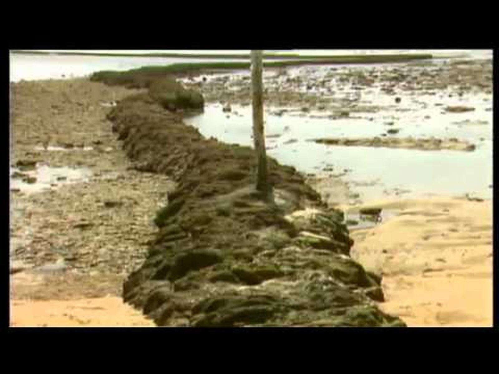 Pesca artesanal y sus orígenes