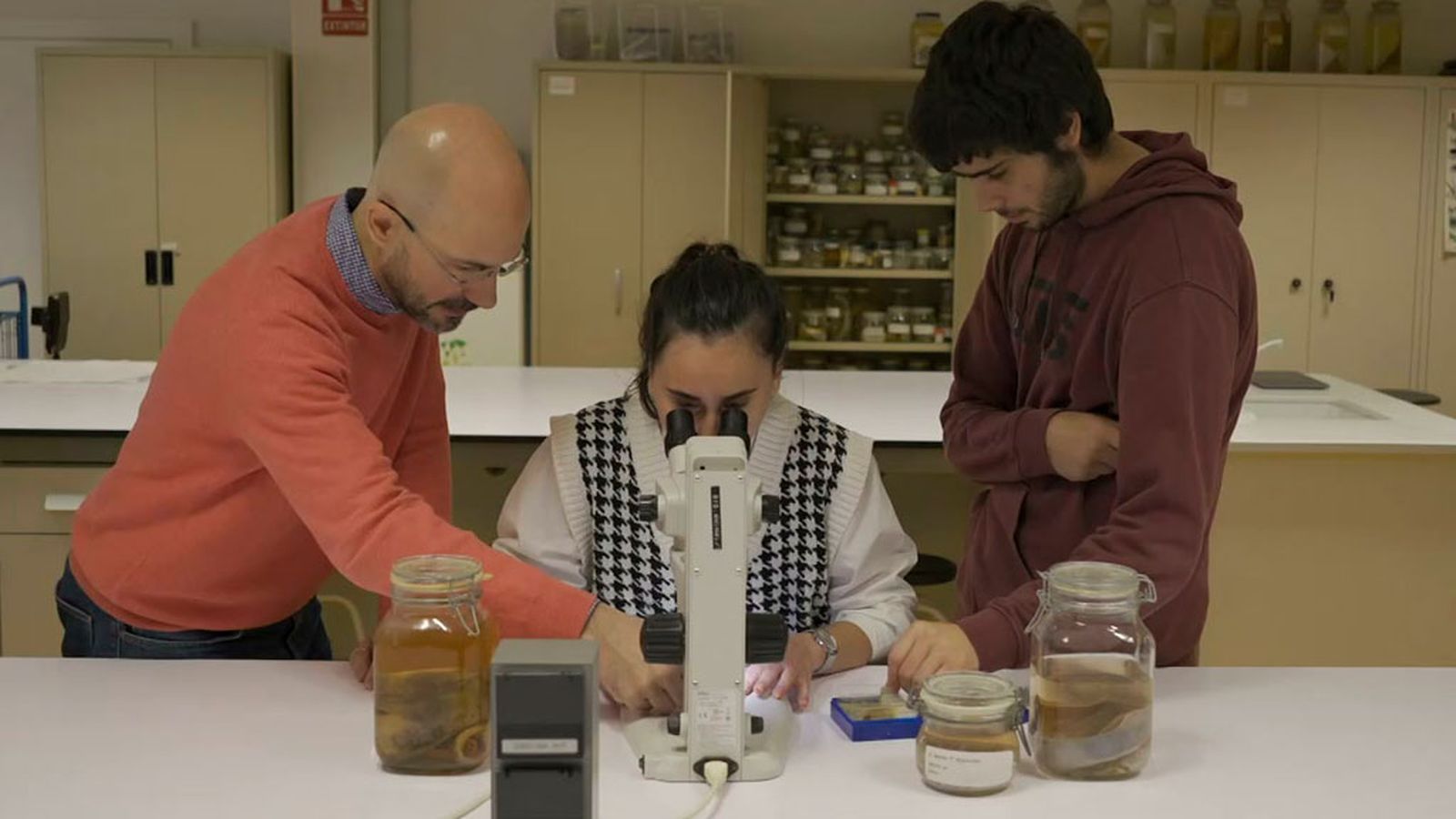 Investigando desde el origen