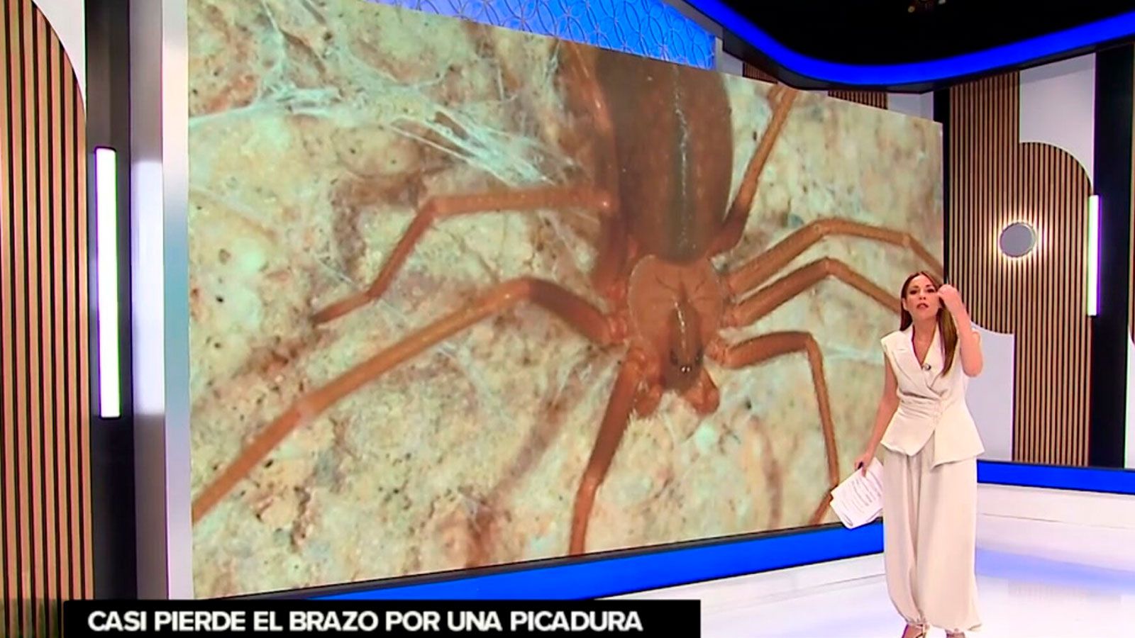 La picadura de una araña estuvo a punto de costarle un brazo a un malagueño