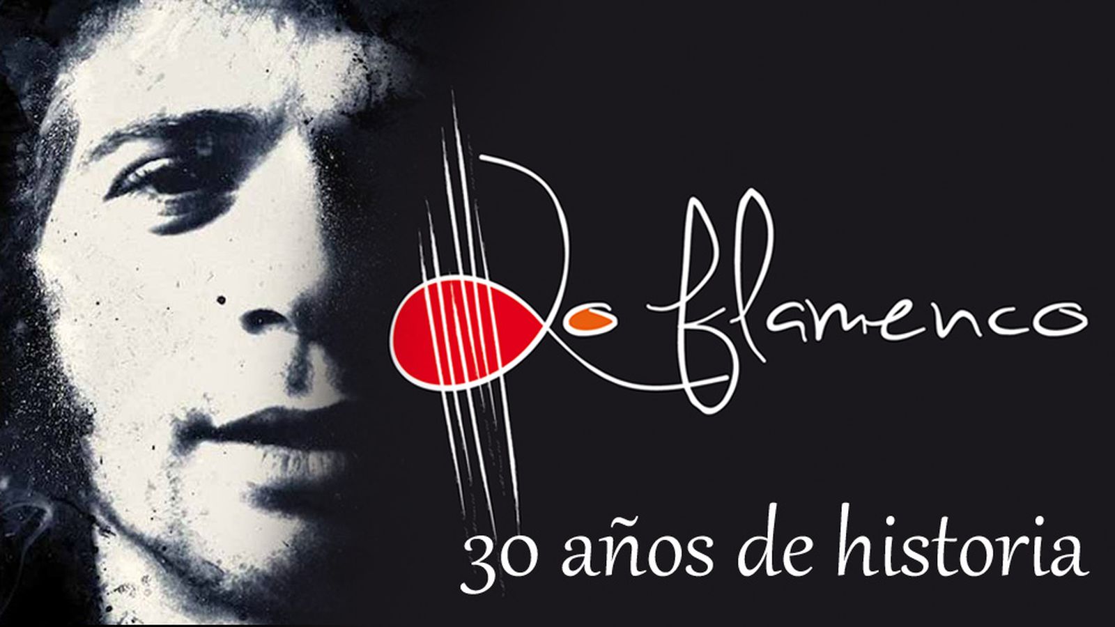 lo flamenco 14 febrero destacado