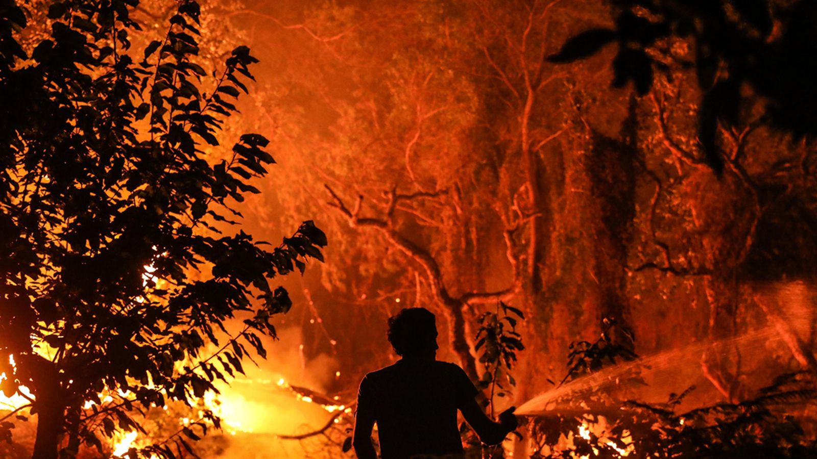Incendio Algarve Portugal