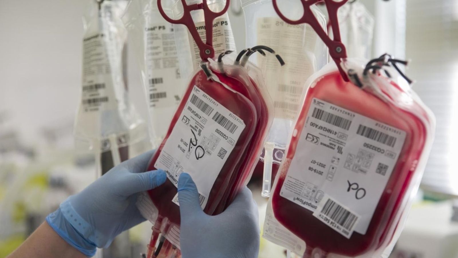 donación sangre