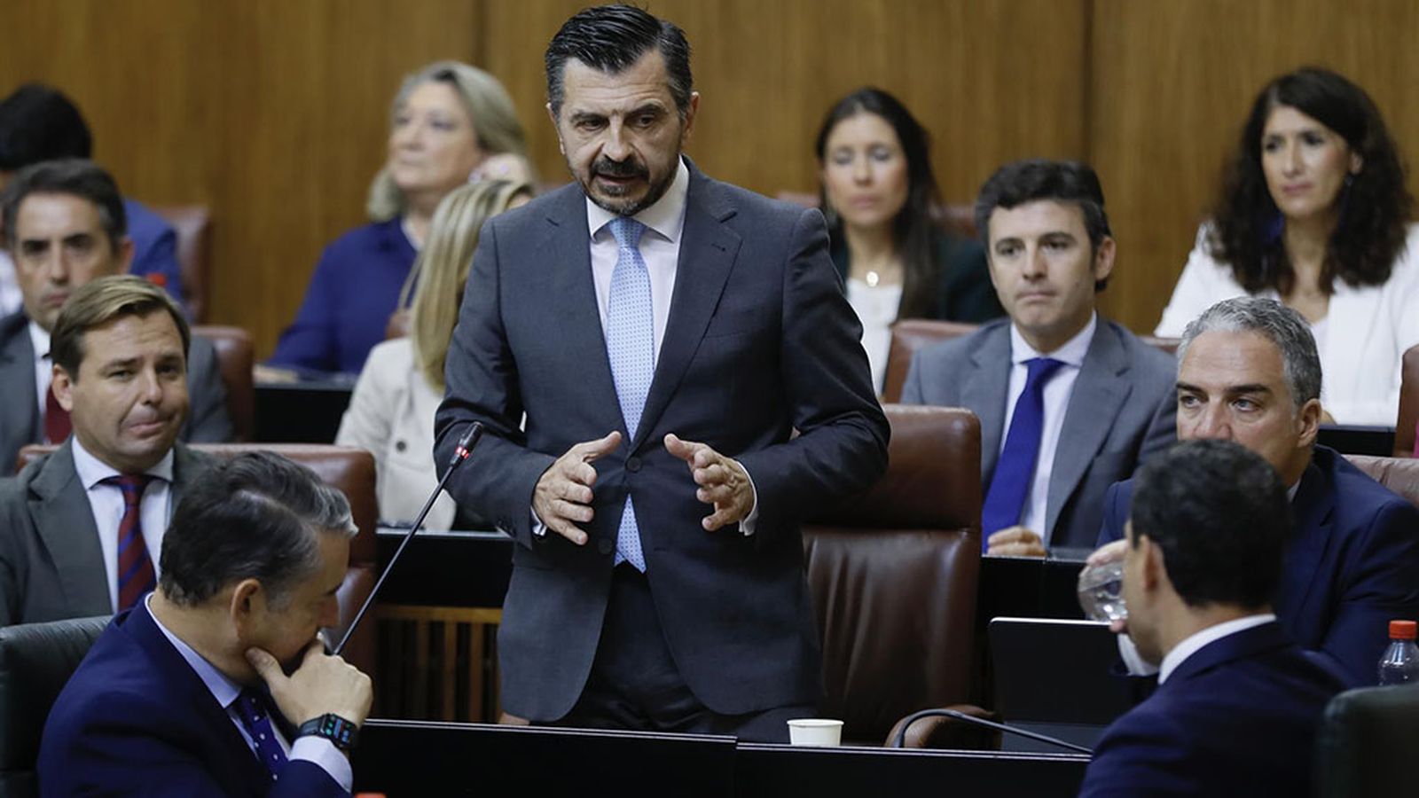 toni martin parlamento